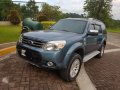 2015 Ford Everest for sale-2