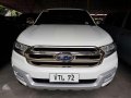 2017 Ford Everest Titanium AT FOR SALE-0