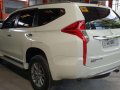 2017 Mitsubishi Monteto for sale-2