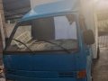 Isuzu ELF Truck for sale-0