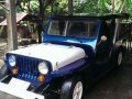 Toyota Owner Type Jeep 2013 for sale-2