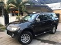 2010 Mitsubishi Montero Sport GLS-0