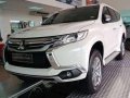 2018 Mitsubishi Montero for sale-1