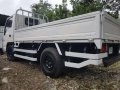 Isuzu Elf single tire 10feet 2009 model For Sale -3