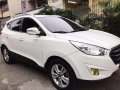 Hyundai Tucson 2010 for sale -1