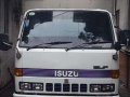 Isuzu elf closevan 1995 model for sale-0