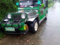 Owner Type Jeep 1999 for sale -0