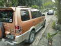 Isuzu Crosswind  2010 for sale -10