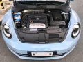 Volkswagen BEETLE 1.4Tsi AT 2014 RS -5