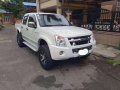 2010 Isuzu D-Max MT FOR SALE-0