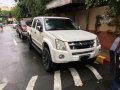 2010 Model Isuzu D-max For Sale-1