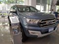 2018 Ford Everest for sale-0