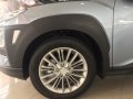 Hyundai Kona 2.0L New 2018 For Sale -1
