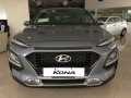 Hyundai Kona 2.0L New 2018 For Sale -0