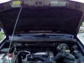 2005 Isuzu Crosswind Automatic Diesel well maintained-0