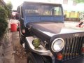 Owner Type Jeep 1979 for sale -0