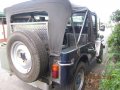 Owner Type Jeep 1979 for sale -1