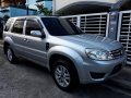 Ford Escape 2010 Automatic Gasoline P345,000-2