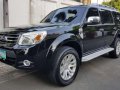 2013 Ford Everest for sale-0