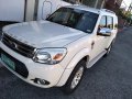 2014 Ford Everest for sale-1