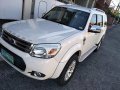 Ford Everest 2014 for sale -1