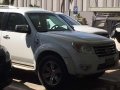 2011 Ford Everest FOR SALE-11