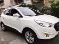 Hyundai Tucson 2010 Diesel AT for sale -4