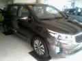 Brand New Kia Grand Carnival for sale-4