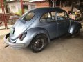 Volkswagen Beetle for Sale-3