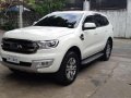 2017 Ford Everest Trend AT for sale-8