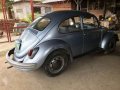 Volkswagen Beetle for Sale-4