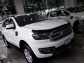 2018 Ford Everest for sale-4