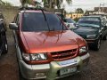 Isuzu Crosswind 2004 for sale-4