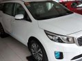 2018 Kia Grand Carnival 7seaters FOR SALE-3