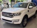 2018 Ford Everest for sale-0