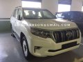 Toyota Land Cruiser 2019 for sale-2