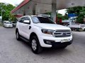 2017 Ford Everest for sale-0