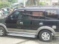 Well-kept Mitsubishi Adventure 2009 for sale-1