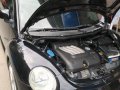 Volkswagen Beetle 2001 for sale-11