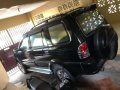 Isuzu Sportivo 2010 for sale-3