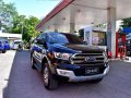 2017 Ford Everest for sale-1