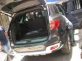 2016 Ford Everest Titanium for sale-1