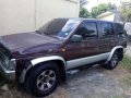 Nissan Terrano 1996 for sale-0