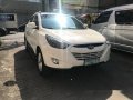Hyundai Tucson 2010 for sale-0