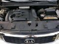 2013 Kia Carnival for sale-4