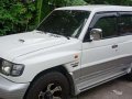 Mitsubishi Pajero 2002 for sale-2