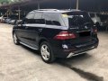 2015 Mercedes Benz ML 250 for sale-2