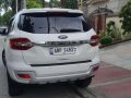 2015 Ford Everest for sale-6