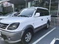 Mitsubishi Adventure 2010 for sale-2