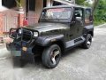 2002 Wrangler Jeep for sale-1